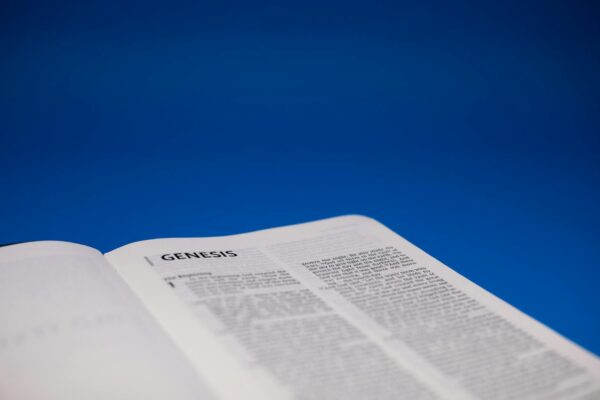 close up shot of an open bible on a blue surface